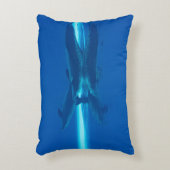 イルカと反射 アクセントクッション (正面(垂直))