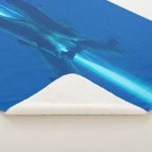 イルカと反射 シェルパブランケット (3/4)