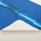 イルカと反射 シェルパブランケット (3/4)