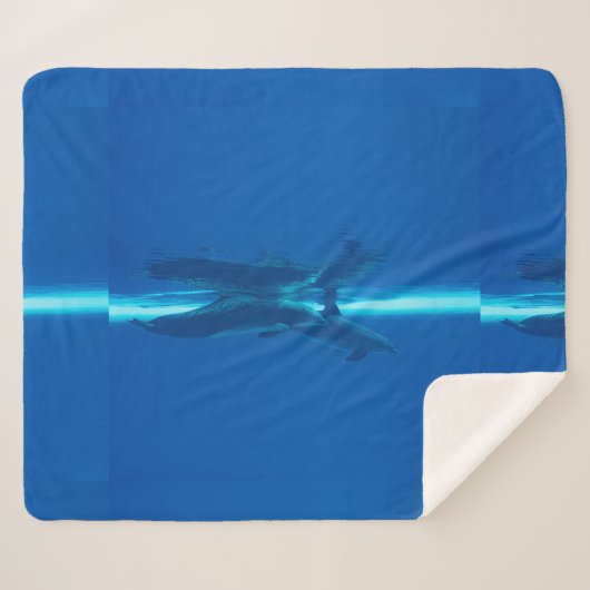 イルカと反射 シェルパブランケット (正面(横))