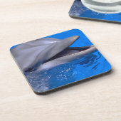 イルカのコースターセット コースター (左側)