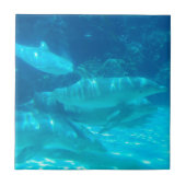 イルカのタイルの学校 タイル (正面)