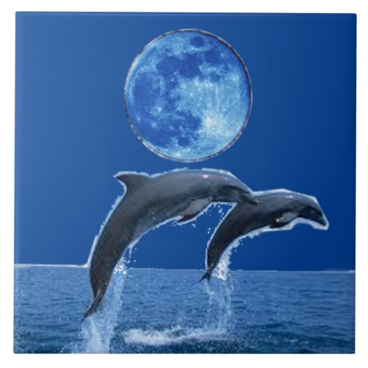 イルカのタイル タイル (正面)