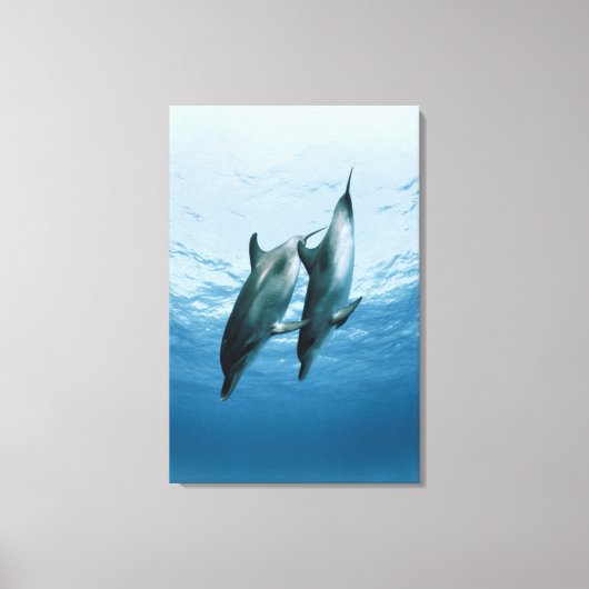 イルカのペア キャンバスプリント (正面)