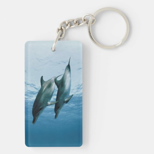 イルカのペア キーホルダー (裏面)
