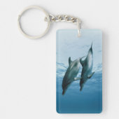 イルカのペア キーホルダー (正面)