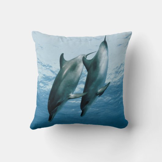 イルカのペア クッション (裏面)