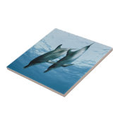 イルカのペア タイル (側面)