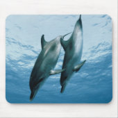 イルカのペア マウスパッド (正面)