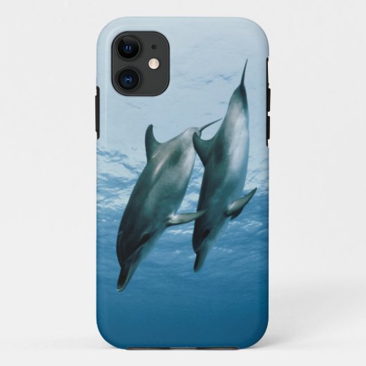 イルカのペア Case-Mate iPhoneケース (裏面)