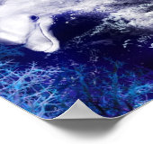 イルカのポスター付き人魚 ポスター (角)