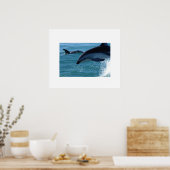 イルカのポスター ポスター (キッチン)