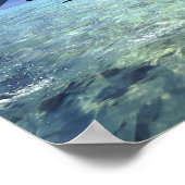 イルカのポスター ポスター (角)