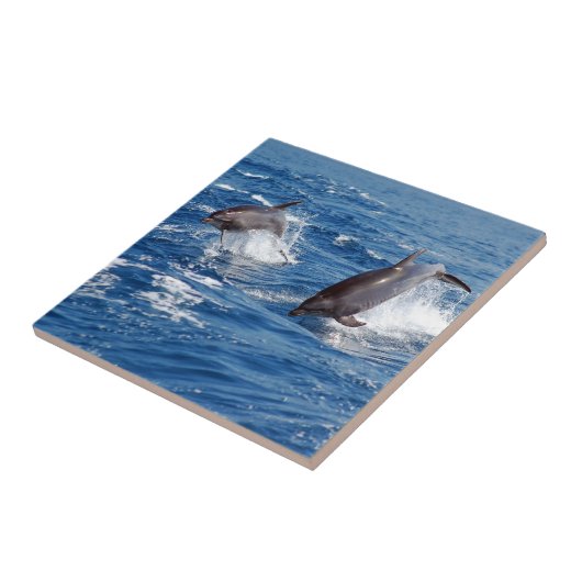 イルカの冒険 タイル (側面)