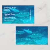 イルカの名刺の学校 名刺 (正面/裏面)