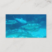 イルカの名刺の学校 名刺 (裏面)