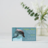 イルカの名刺 名刺 (スタンド正面)
