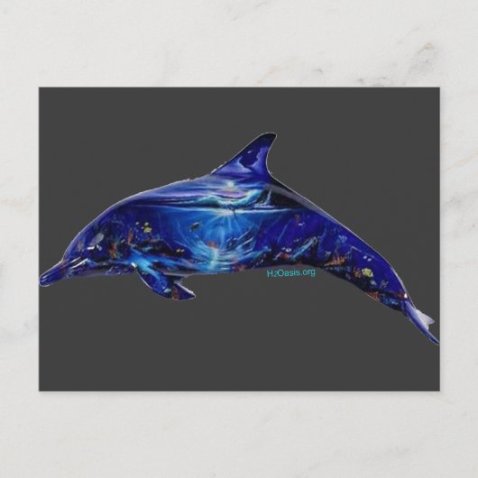 イルカの壁画 ポストカード (正面)