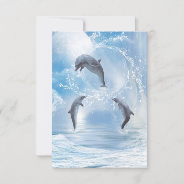 イルカの夢 (正面)