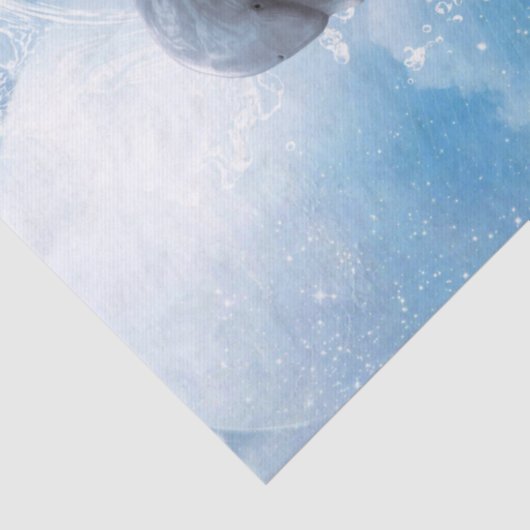 イルカの夢 薄葉紙 (詳細)