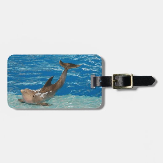 イルカの姿勢 ラゲッジタグ (正面横)