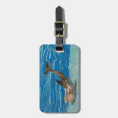 イルカの姿勢 ラゲッジタグ (正面縦)