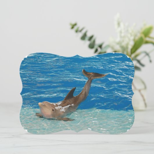 イルカの姿勢 招待状 (スタンド正面)