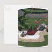 イルカの庭 ポストカード (正面/裏面)