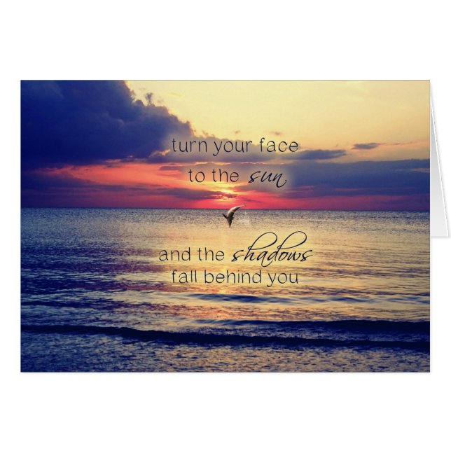 イルカの日没 (正面横)