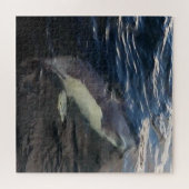 イルカの泳ぐジグソーパズル ジグソーパズル (横)