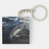 イルカの泳ぐ海の野生生物 キーホルダー (裏面)