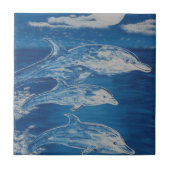 イルカの真夜中の水泳 タイル (正面)