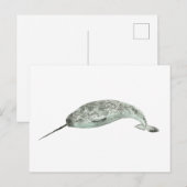 イルカの絵 水彩 ポストカード (正面/裏面)