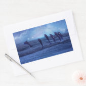 イルカの群れ 長方形シール (封筒)