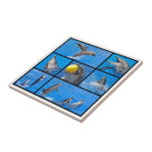 イルカの複数の写真 タイル (側面)