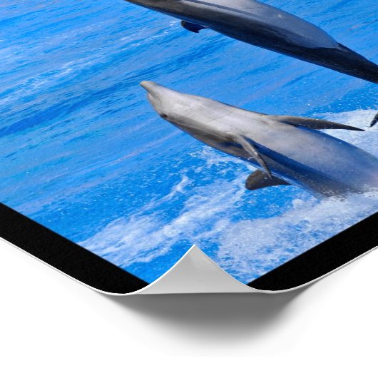 イルカの複数の写真 ポスター (角)