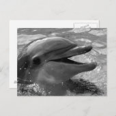 イルカの頭が水面に口を開けて 黒と白 ポストカード (正面/裏面)
