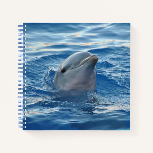 イルカの顔 海 かわいい 写真 ノートブック (正面)