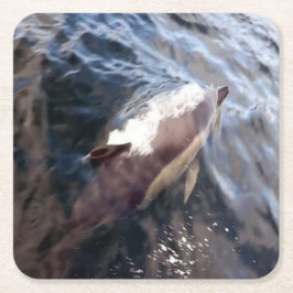 イルカの飛び跳ねる海面突破の瞬間 スクエアペーパーコースター
