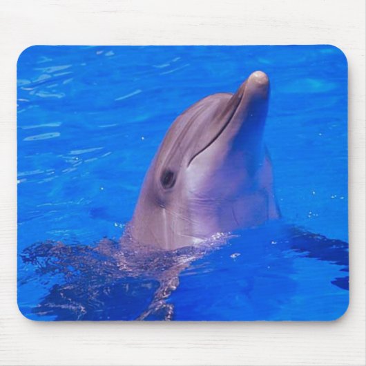 イルカはマウスパッド微笑します マウスパッド (正面)