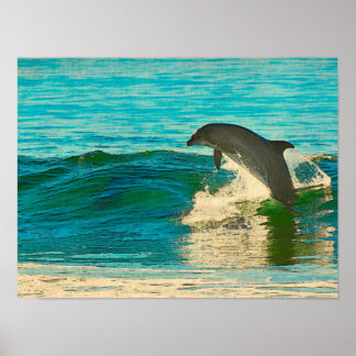 イルカは私の霊獣だ ポスター