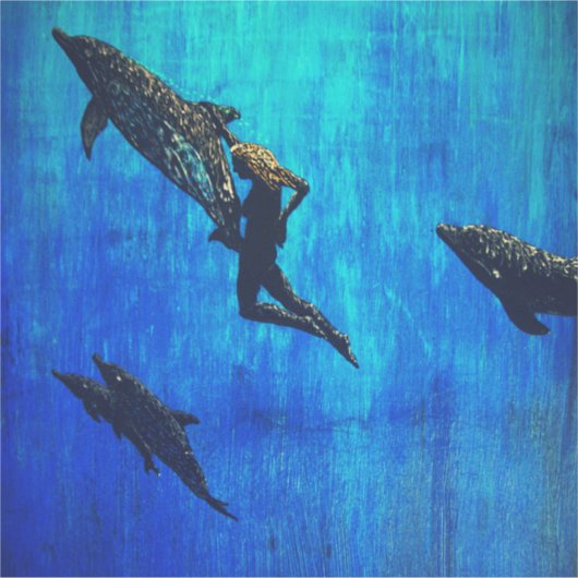 イルカを救出する シール (正面)