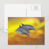 イルカサーフィンザ・ウェーブ ポストカード (正面/裏面)