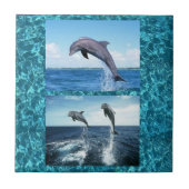イルカタイル タイル (正面)