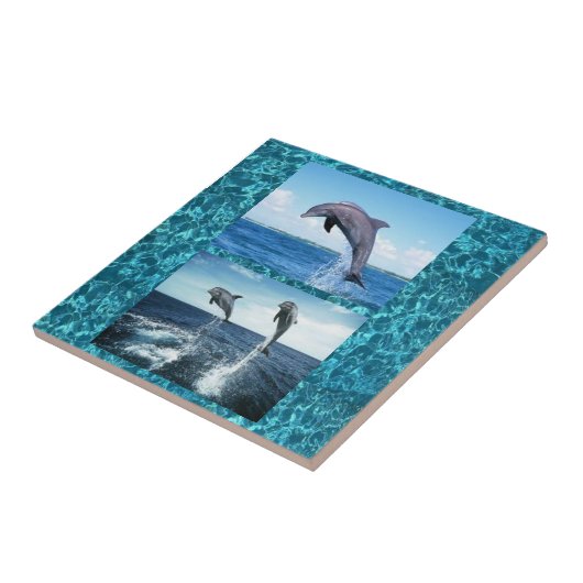 イルカタイル タイル (側面)