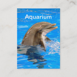 イルカ付き水族館名刺 名刺