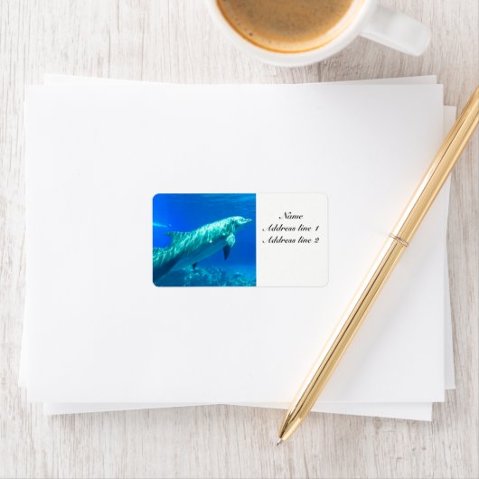 イルカ住所 シール (インサイチュ)