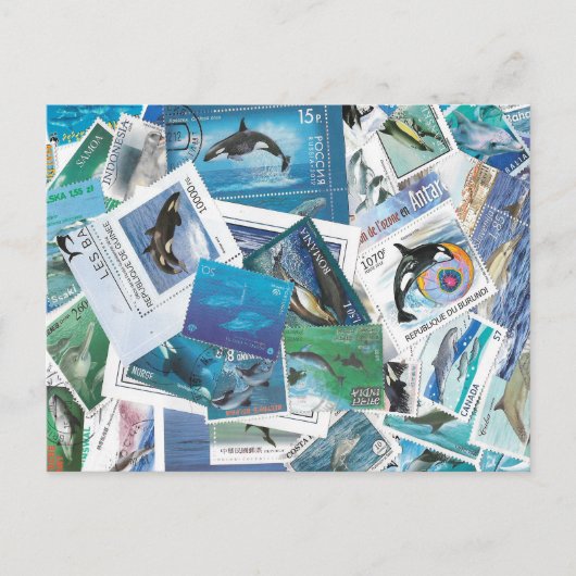 イルカ切手はがき ポストカード (正面)