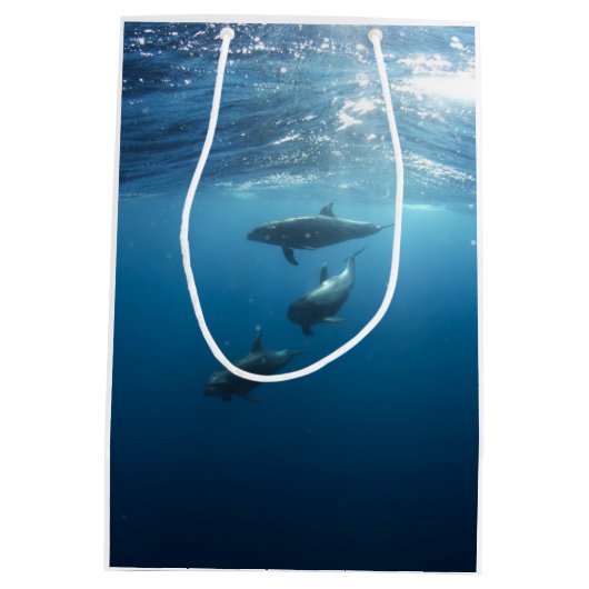 イルカ家族 ミディアムペーパーバッグ (裏面)