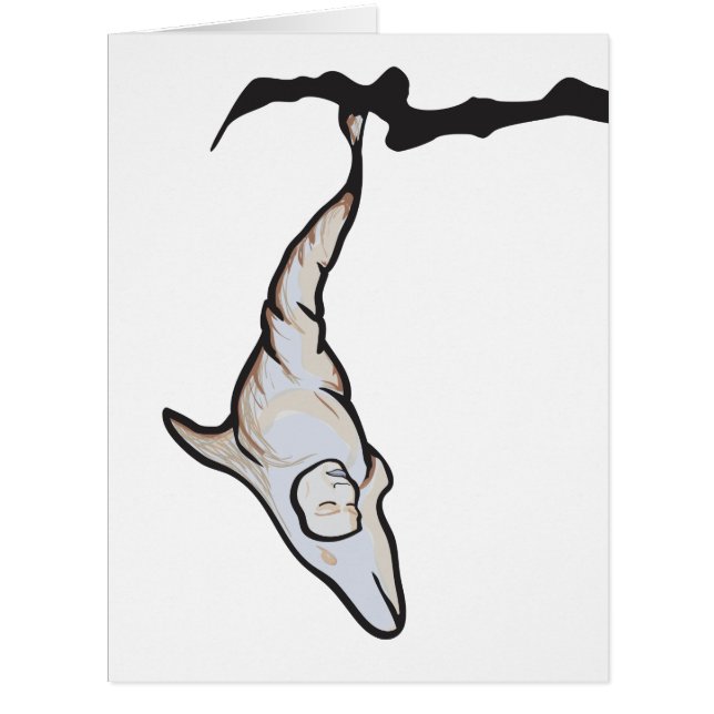 イルカ繭 (正面)